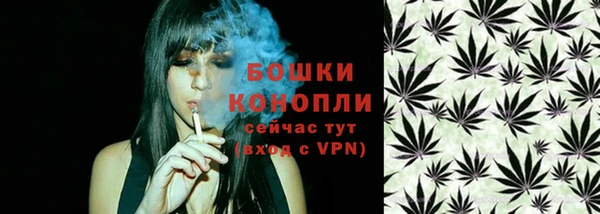 молекула духа Сосновый Бор