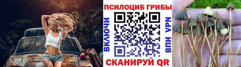цены   Новоузенск  блэк спрут ONION  Псилоцибиновые грибы прущие грибы 