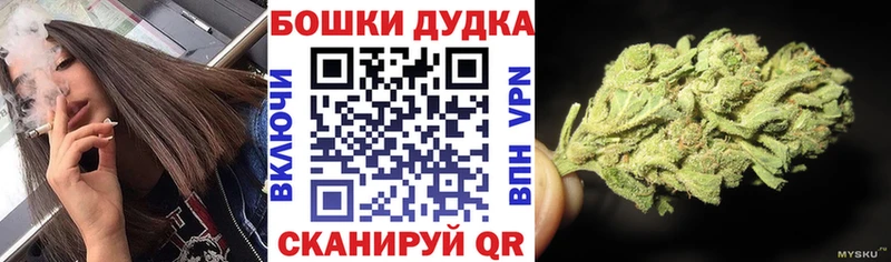 купить закладку  Новоузенск  Шишки марихуана ГИДРОПОН 
